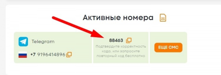 Смс автоматически появится в колонке "Статус" напротив виртуального номера.